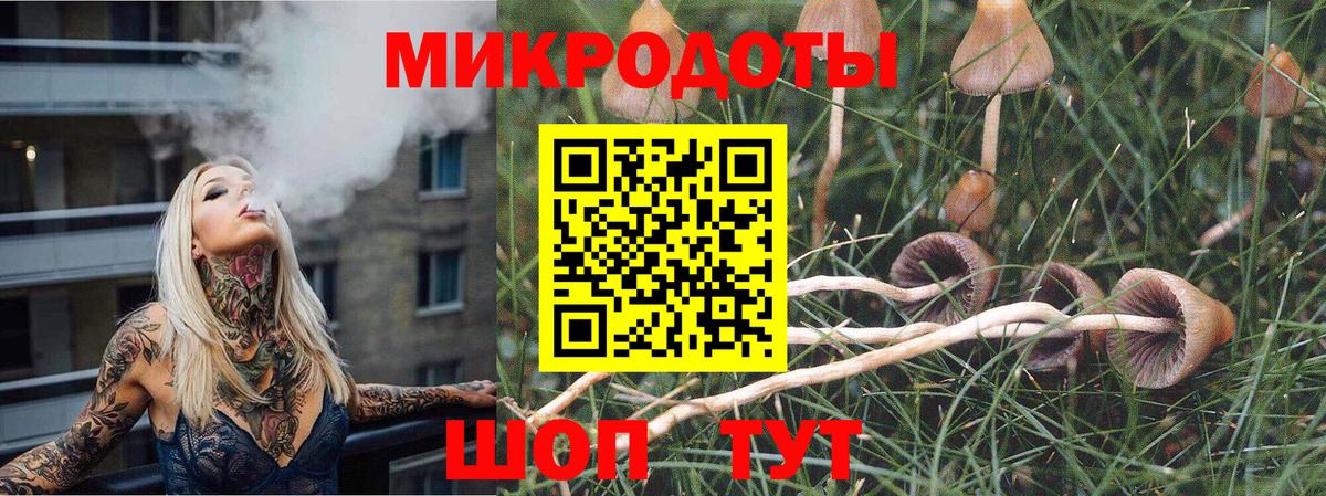 Псилоцибиновые грибы ЛСД Ессентуки