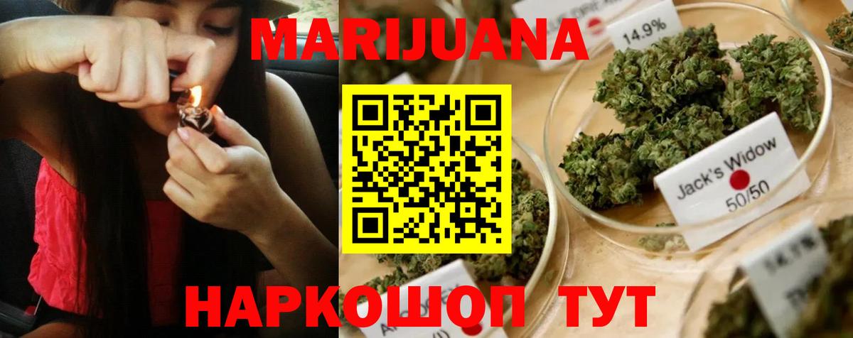 Канабис гибрид Ессентуки